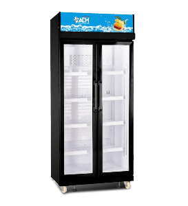ADH 625 Litre Double Door Beverage Cooler Display Chiller, available in Uganda
